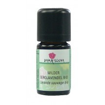 Wilder Berglavendel bio 5ml